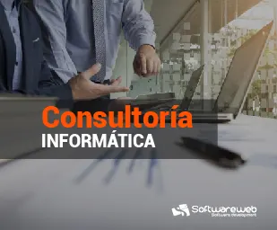 consultoria-asesoria-de-software2.webp